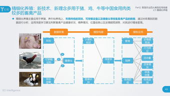戰(zhàn)略新興產(chǎn)業(yè)新引擎 互聯(lián)網(wǎng)數(shù)據(jù)中心（IDC）與199it數(shù)據(jù)服務(wù)的價值探析